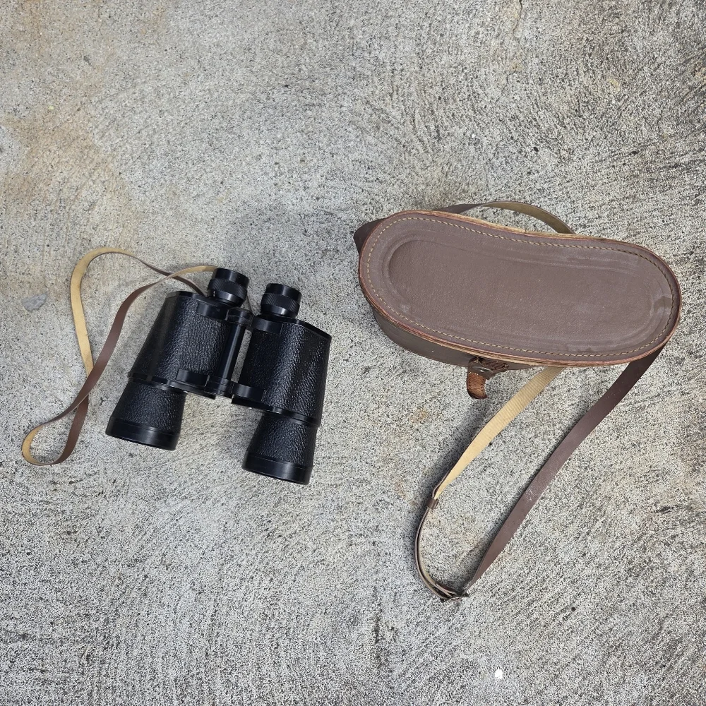 Daylite 10x50 Binoculars 262ft/1000yds Case & Strap Vintage Porro‎ Prism Japan